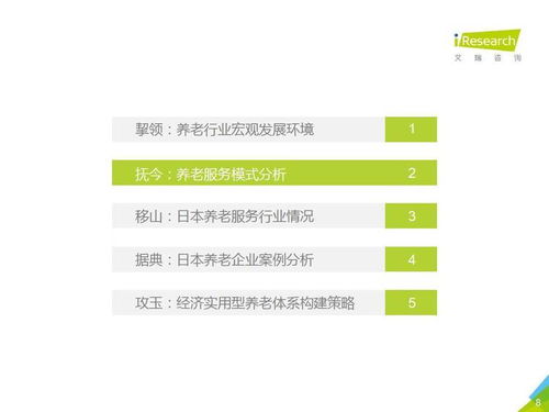 2021年中国养老服务发展报告 节能工程咨询服务的价值与前景